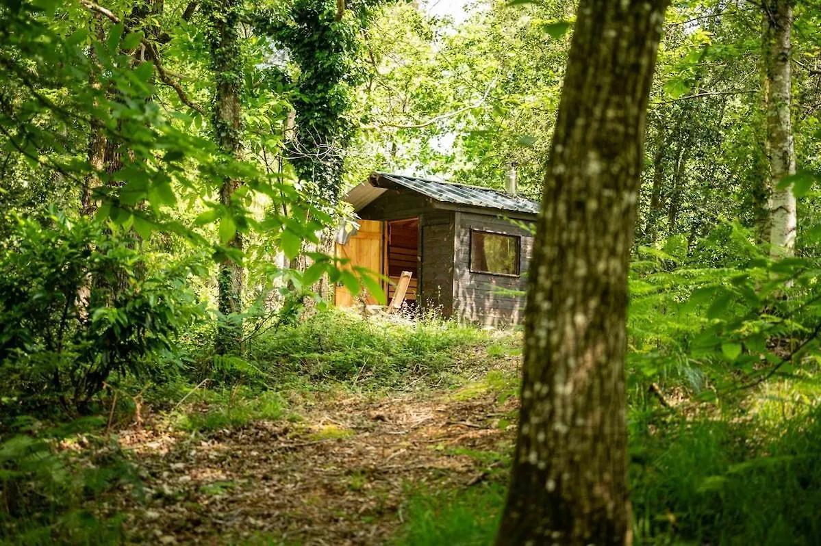 Entre Mer Et Nature - Bain Nordique Et Sauna Clohars-Carnoet France